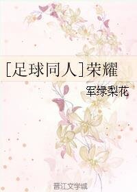 (足球同人)榮耀