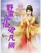 野蠻小仙混凡間