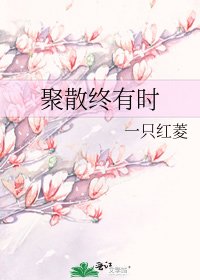 聚散終有時